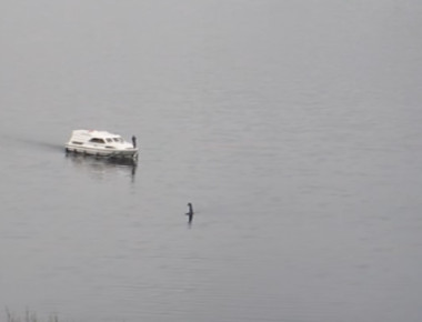 Τέρας του Λοχ Νες: Πιθανόν αυτό το βίντεο να αποδεικνύει την ύπαρξη του!